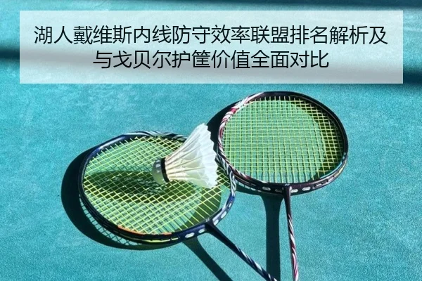 湖人戴维斯内线防守效率联盟排名解析及与戈贝尔护筐价值全面对比