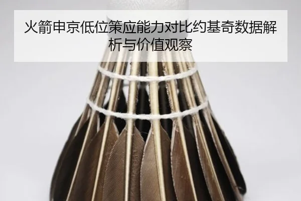 火箭申京低位策应能力对比约基奇数据解析与价值观察