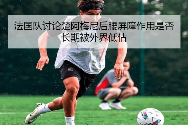 法国队讨论楚阿梅尼后腰屏障作用是否长期被外界低估