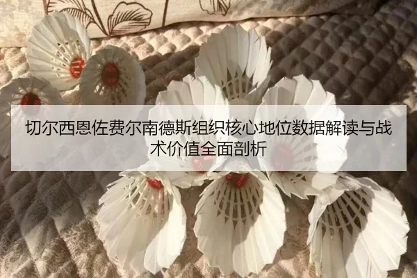 切尔西恩佐费尔南德斯组织核心地位数据解读与战术价值全面剖析