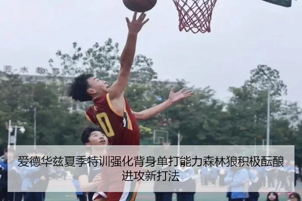 爱德华兹夏季特训强化背身单打能力森林狼积极酝酿进攻新打法